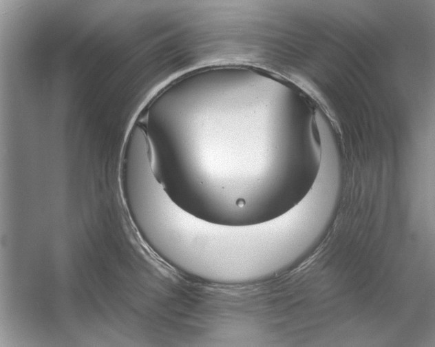 X0000053111340200508081215