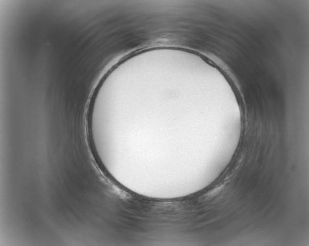 X0000053111341200508081215