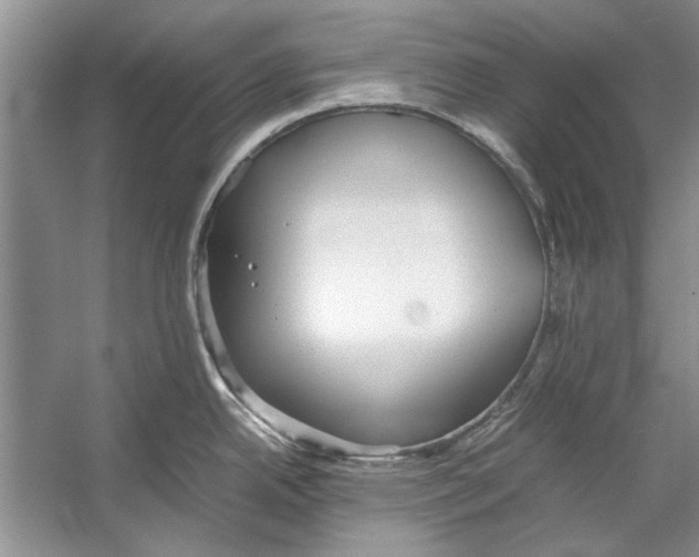 X0000053111342200508081215