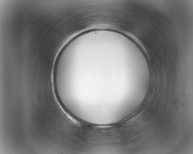 X0000053111343200508081215