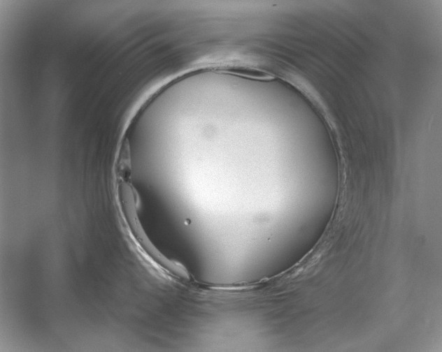 X0000053111344200508081215