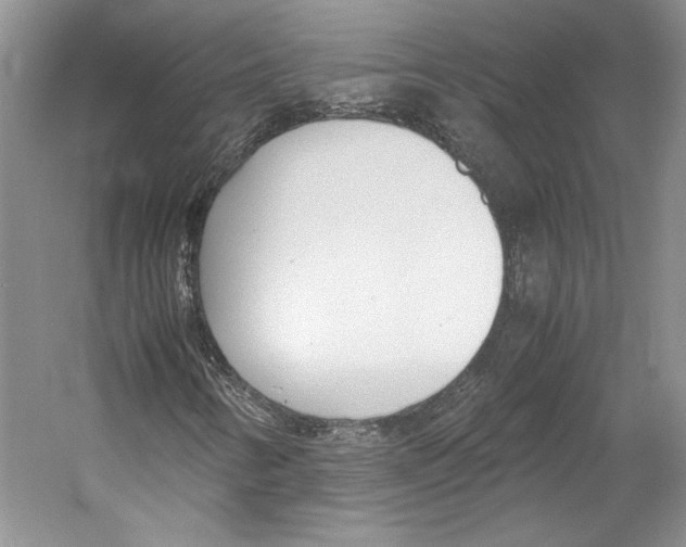 X0000053111346200508081214