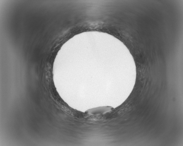 X0000053111349200508081214