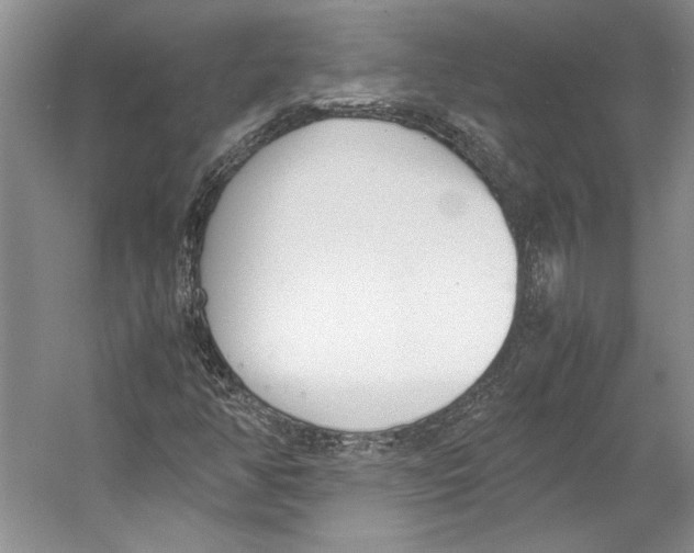 X0000053111350200508081214