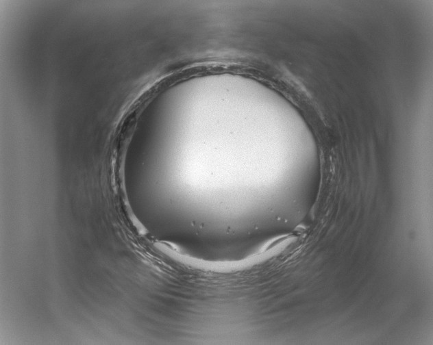 X0000053111352200508081214