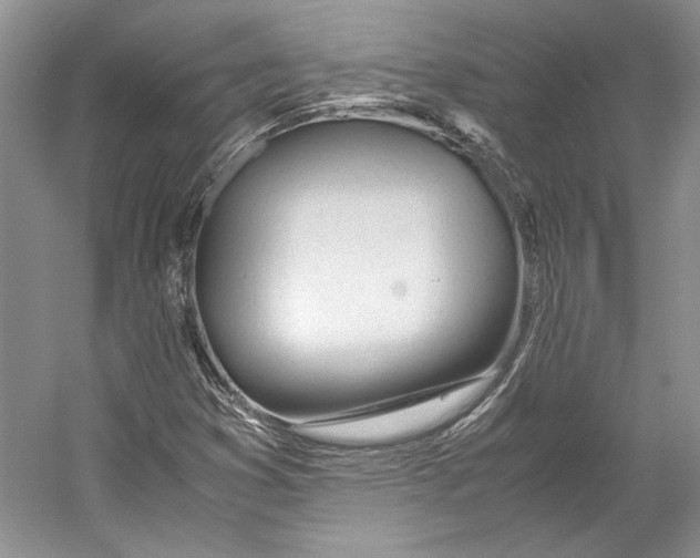 X0000053111353200508081214