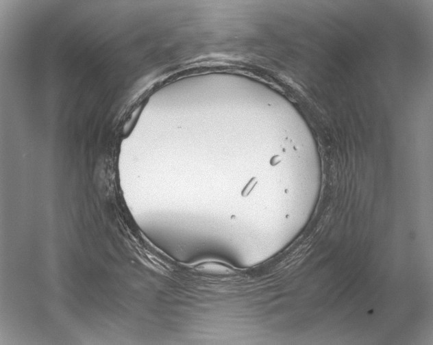 X0000053111355200508081214