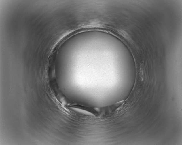 X0000053111356200508081214