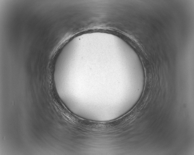 X0000053111359200508081214