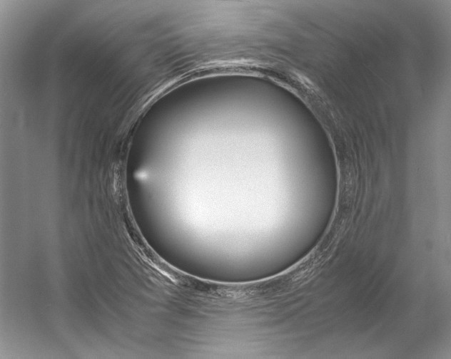 X0000053111361200508081214