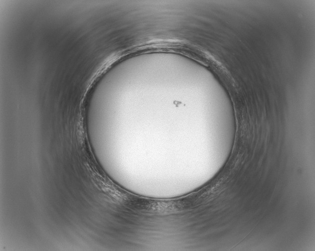 X0000053111362200508081214