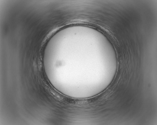 X0000053111363200508081214