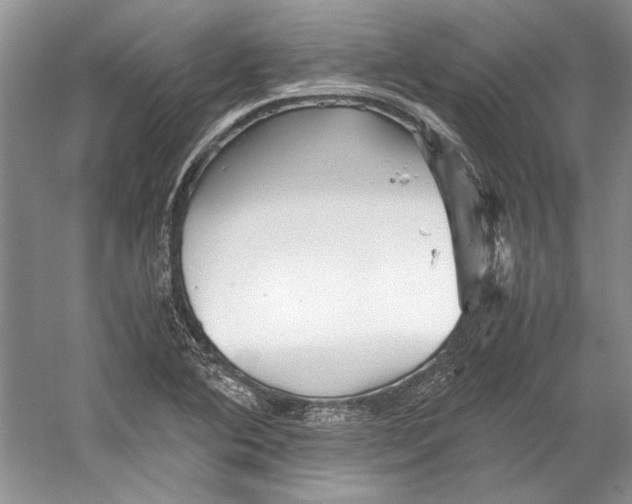 X0000053111364200508081214