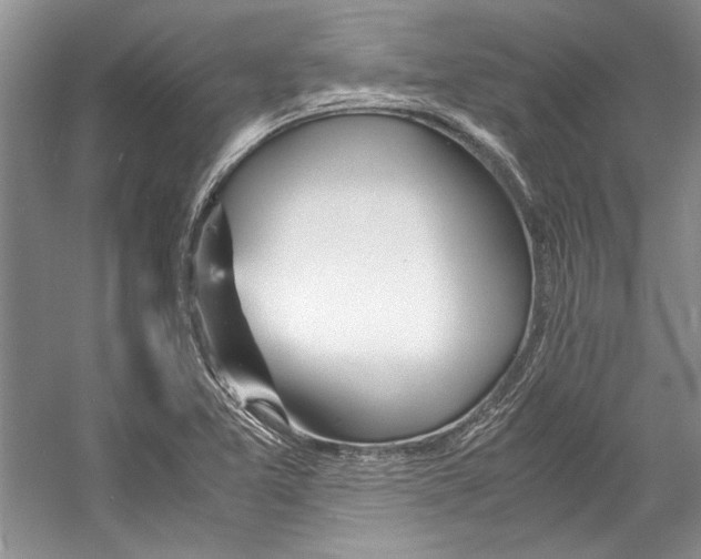 X0000053111365200508081214