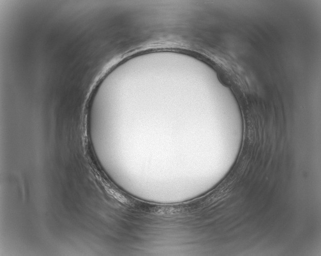 X0000053111366200508081214