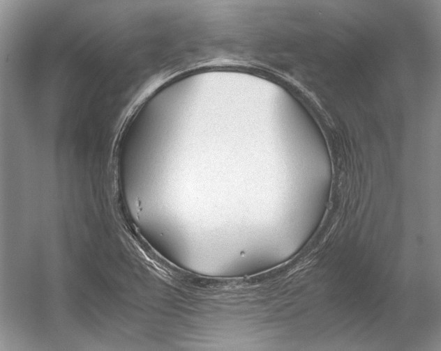 X0000053111367200508081214