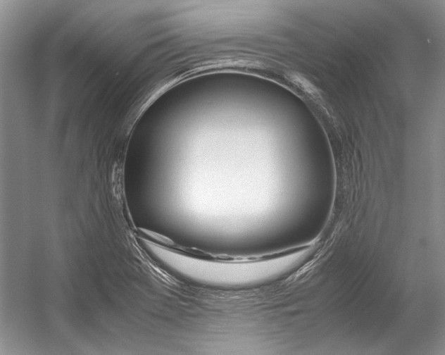 X0000053111369200508081214