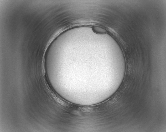 X0000053111370200508081214