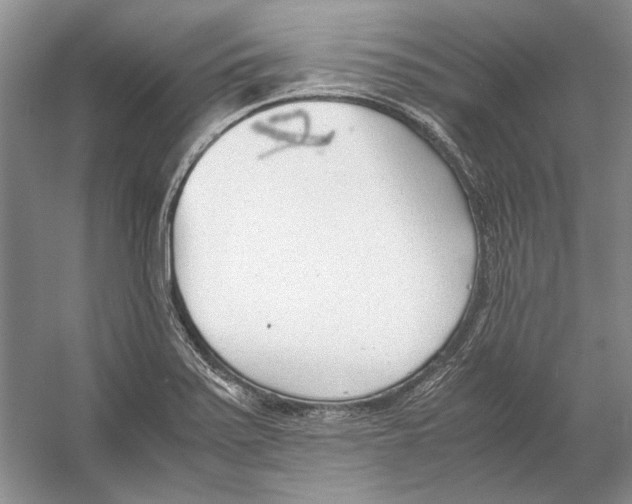 X0000053111371200508081214