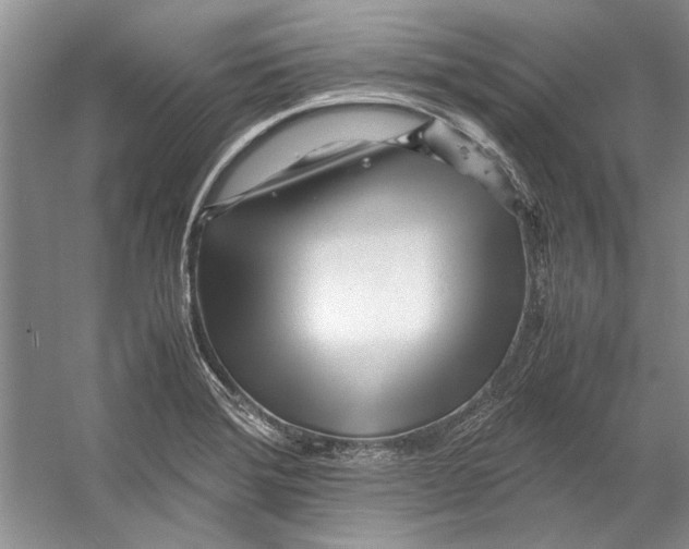 X0000053111372200508081214