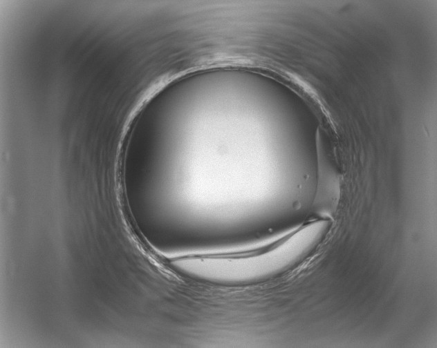 X0000053111373200508081214