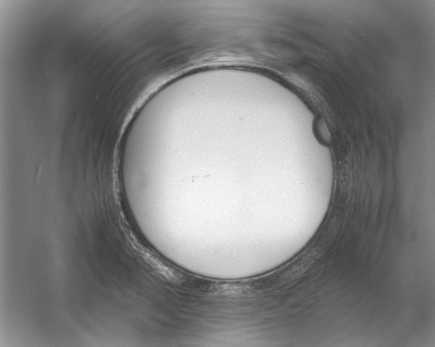 X0000053111374200508081214