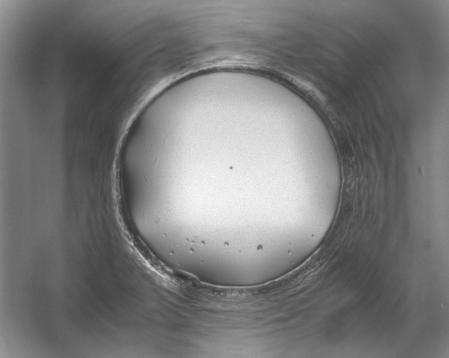 X0000053111375200508081214