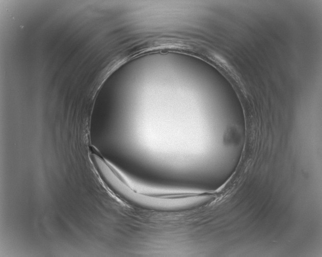 X0000053111377200508081214