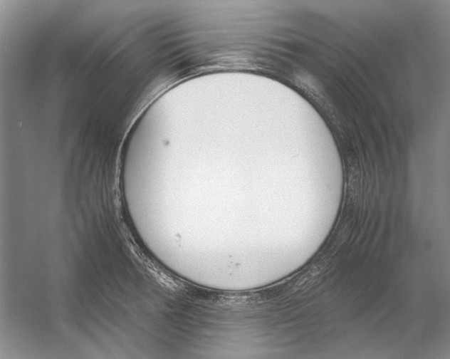 X0000053111378200508081214