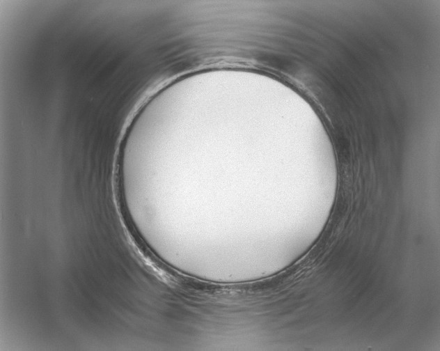 X0000053111379200508081214