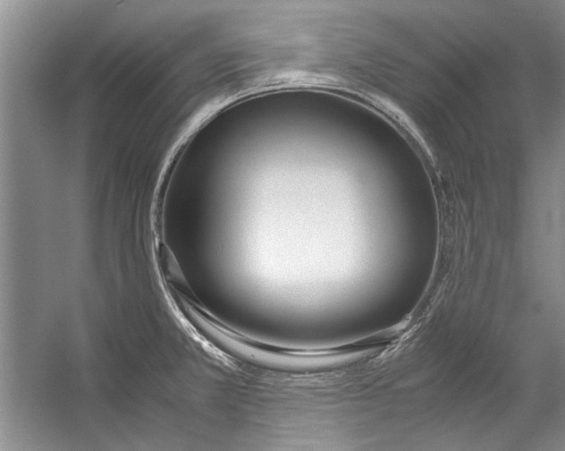 X0000053111381200508081214