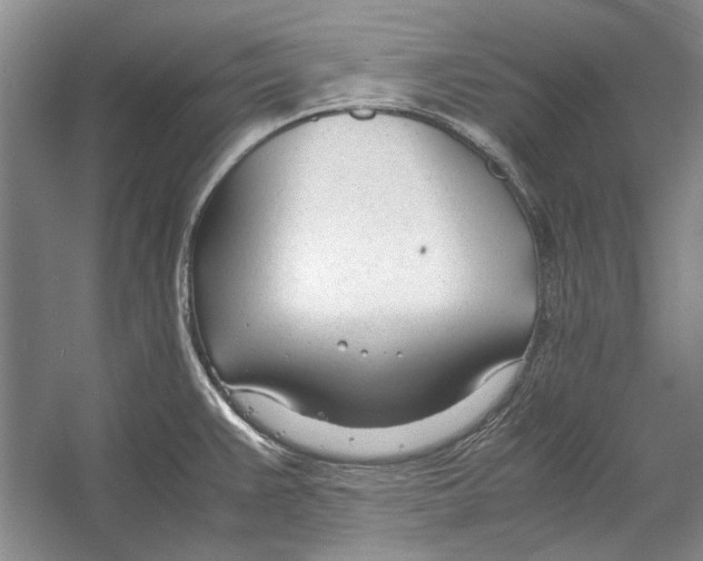 X0000053111383200508081214