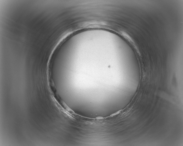 X0000053111384200508081214