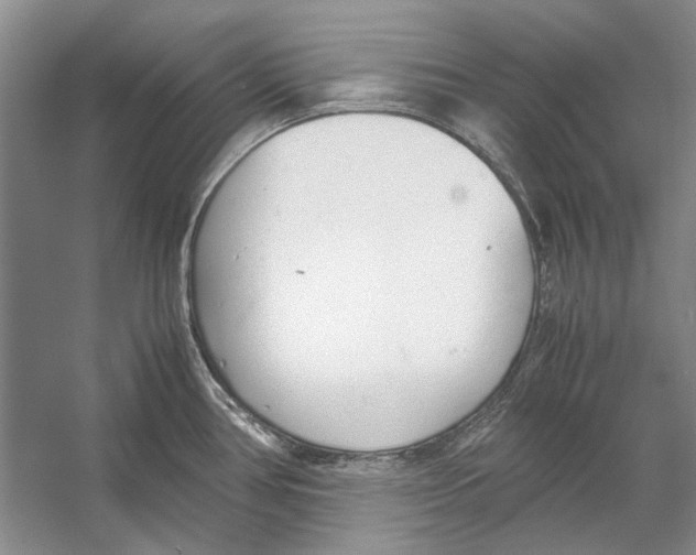 X0000053111386200508081214