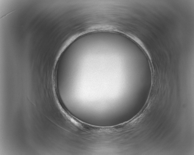 X0000053111389200508081214