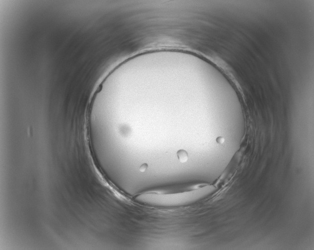 X0000053111390200508081214