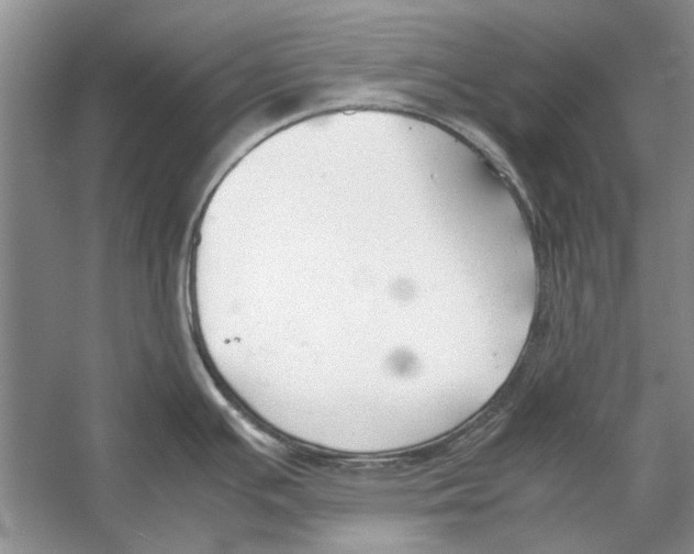 X0000053111391200508081214