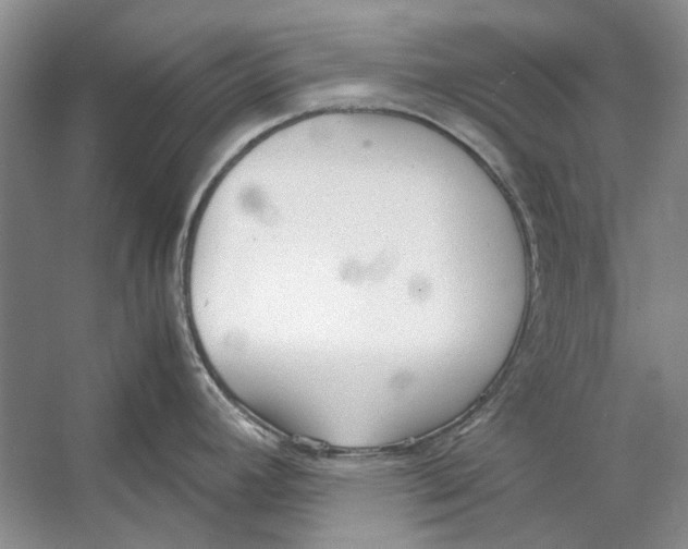 X0000053111392200508081214