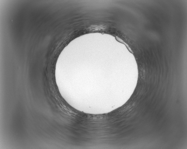 X0000053111393200508081213