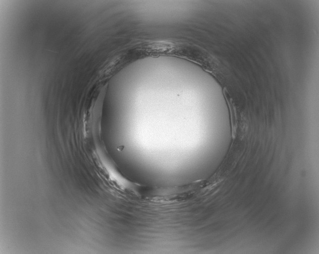 X0000053111394200508081213