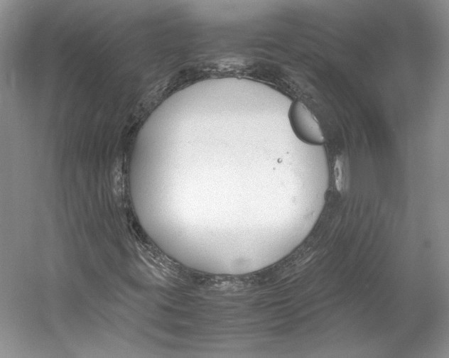 X0000053111395200508081213