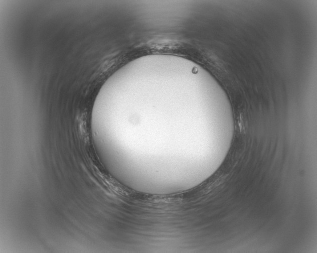 X0000053111396200508081213