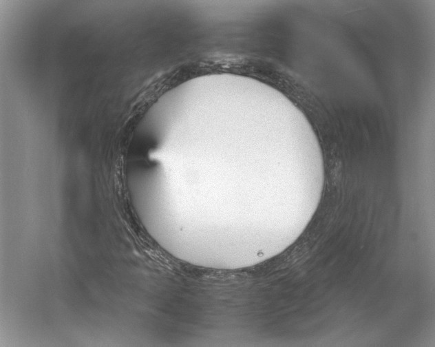 X0000053111397200508081213