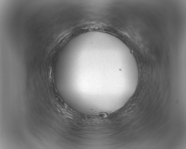 X0000053111399200508081213