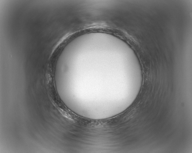 X0000053111400200508081213