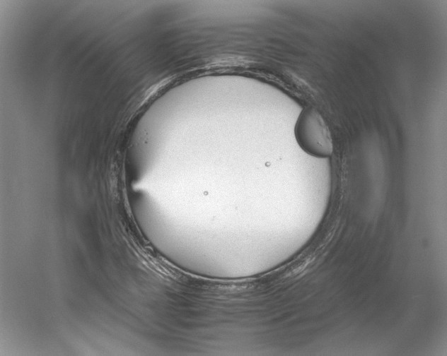 X0000053111401200508081213