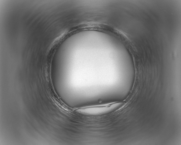 X0000053111403200508081213