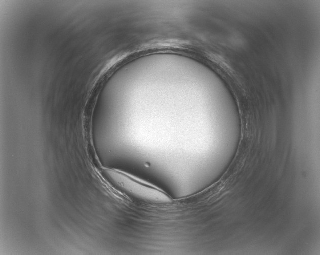 X0000053111404200508081213