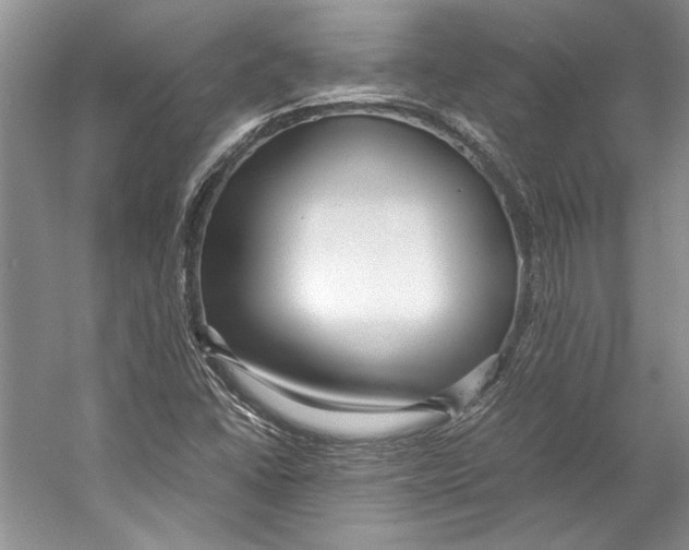 X0000053111406200508081213