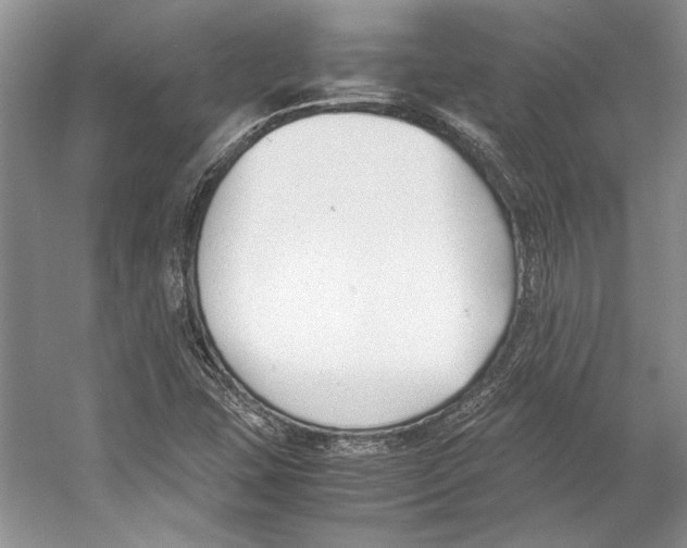 X0000053111407200508081213